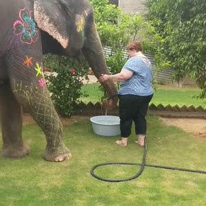 VID_20190715_153119.mp4